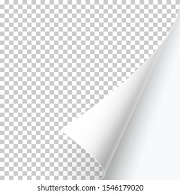 Curved page corner with shadow on a transparent background. Insert your images. Simple image insertion. Vector illustration.