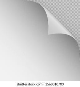 Curved page corners with shadow on a transparent background. Just insert your images. Vector illustration