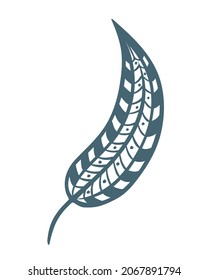 Curved painted bird feather sketch, vector illustration. Boho feather, graphic sketch. Element for creativity and design, isolated object.