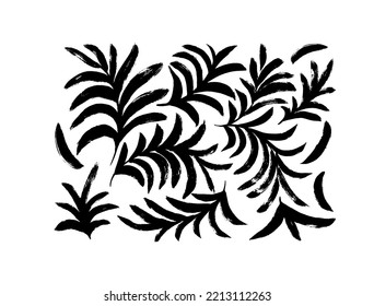 Curved plant branches with pungent leaves collection. Brush drawn branches silhouettes. Hand drawn vector botanical elements. Vector illustration of silhouette with tropical leaves isolated on a white