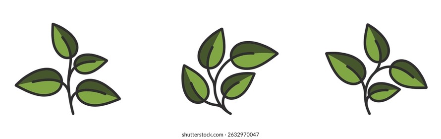 Curved plants with leaves in green colors. Spring, planting and nature design elements. Isolated vector images