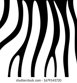 Curved stripes pattern. Zebra skin ornament. Animal fur ornate. Wildlife, natural texture. Wild animals motif image. Curves wallpaper. Digital paper, textile print, web design. Vector work.