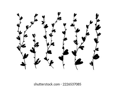 Curved thin branches with small leaves isolated on white background. Heart shape leaves on vertical liana stems. Botanical stylish elements, brush drawn vector plants. Hand drawn foliage silhouettes.