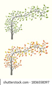 Árbol curvo con hojas en dos versiones verano y otoño en un fondo claro