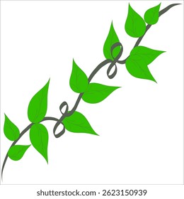 Curved vine leaf. Single climbing plant. Green twisted shape. Vector nature decoration.