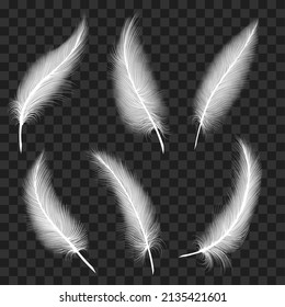 Curved white feathers. Flying feather set isolated on transparent for lightness design concepts, wings plume fluff bristles closeup objects, graceful decorative float plumage