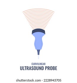 Curvilinear ultrasound probe diagram. Convex array transducer for abdominal examinations. Medical sonography concept. Radiology equipment vector illustration.