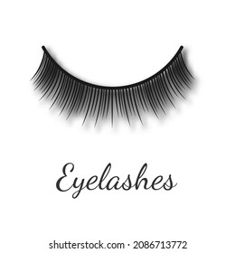 Curving women long false eyelashes template, realistic vector illustration isolated on white background. Beauty procedure of eyelashes extension element.