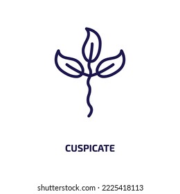 cuspicate icon from nature collection. Thin linear cuspicate, nature, obcordate outline icon isolated on white background. Line vector cuspicate sign, symbol for web and mobile