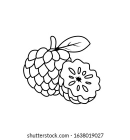 Custard apple black and white vector for all purpose