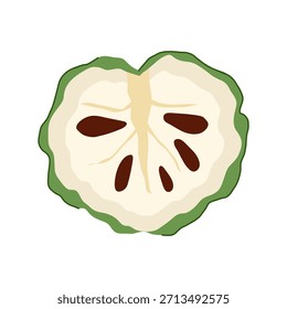 Ilustración de sección transversal de manzana cremosa que revela pulpa blanca cremosa y semillas de color marrón oscuro, que representan frutas exóticas, alimentación saludable e ingredientes naturales
