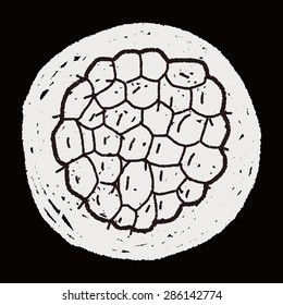 Custard apple doodle