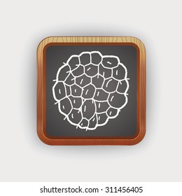 Custard apple doodle