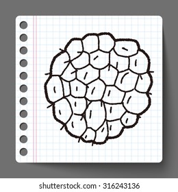 Custard apple doodle