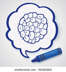 Custard apple doodle