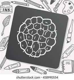 Custard apple doodle