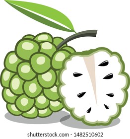 custard apple flat icon on white background