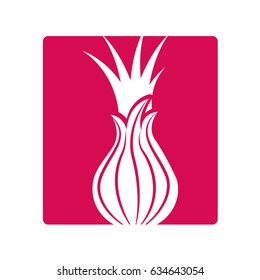 custard apple fresh vegetable icon