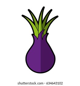 custard apple fresh vegetable icon