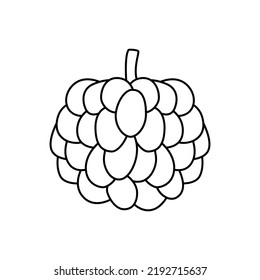 Custard apple fruit icon in line style icon, isolated on white background