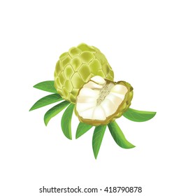 custard apple fruit on white background