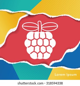Custard apple icon