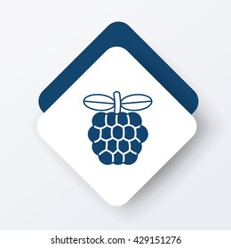 Custard apple icon