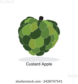 Custard apple icon fruit icon