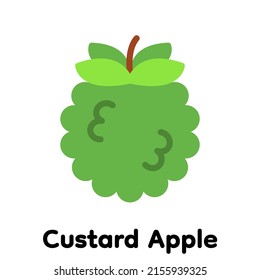 Custard apple icon, Vector, Illustration.