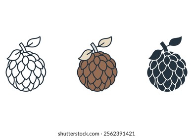 Custard apple icons symbol vector elements for infographic web