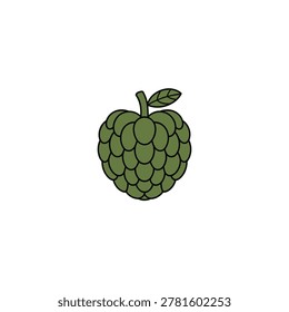 Custard apple illustration with leaf green and white background