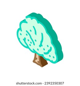custard apple jungle amazon isometric icon vector. custard apple jungle amazon sign. isolated symbol illustration