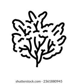 custard apple jungle amazon line icon vector. custard apple jungle amazon sign. isolated contour symbol black illustration