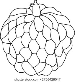 Custard apple, also known as sugar apple or sitaphal, is a tropical fruit with a unique green segmented outer skin and soft, creamy white pulp inside. This delicious fruit is widely loved for its naturally sweet flavor and rich texture, often compared to a blend of banana and pineapple. The pulp contains multiple black seeds that should be removed before consumption. Custard apple is not only tasty but also highly nutritious, being rich in vitamin C, dietary fiber, and essential minerals. It is commonly eaten fresh or used in desserts, smoothies, and beverages. This fruit is popular in tropical and subtropical regions and is ideal for healthy lifestyle, organic food, and natural nutrition concepts.
