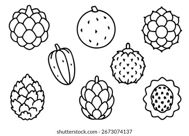 custard apple line art simple artistic fruit illustration