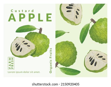 Custard Apple packaging design templates, watercolour style vector illustration.