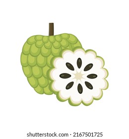 Sortiment für kundenspezifische Apfel-Set-Design mit isoliertem Ganzes und geschnittenen tropischen Früchten annona reticulata. Grüner Apfel aus Zucker in flachem, detailliertem Vektorstil für Verpackungen, Designs, dekorative Elemente