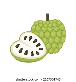 Custard Apple Set Design With Isolated Whole And Cut Tropical Fruit Annona Reticulata. Green Sugar Apple In Flat Detailed Vector Style For Packaging, Designs, Decorative Elements