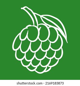 Custard apple, Sugar apple. line vector