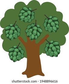 Custard Apple Tree Vector illustration isolated