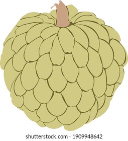Custard apple vectorized for Personal and Commercial use.
