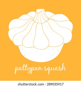 Custard squash. Summer squash vector illustration for vegetarian menu design