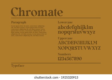 Custom Font Bundle Chromate Serif