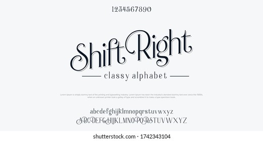 Custom font bundle script serif. Alphabet vector illustration