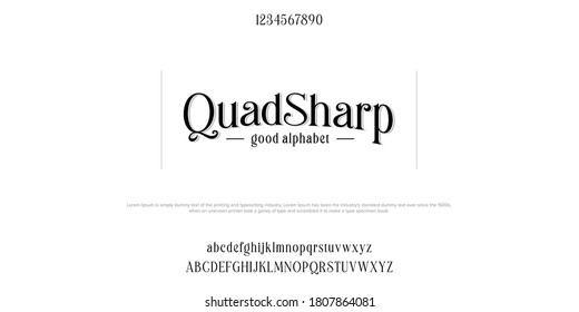 Custom font bundle script serif. Alphaber vector illustration