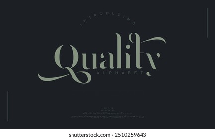 Custom font bundle script serif. Alphabet vector illustration