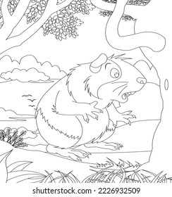 Custom Made Design Guinea Pig Coloring Book Page for Kids