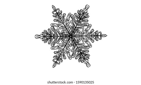 custom snowflake ornament in vector