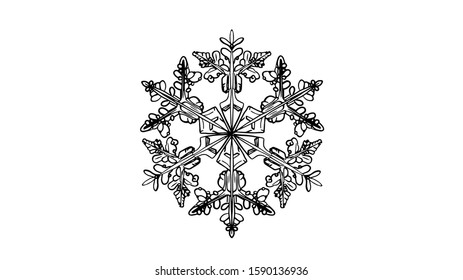 custom snowflake ornament in vector