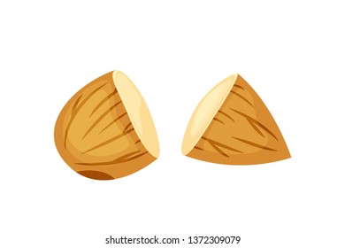 Cut almonds vector illustration isolated on white background.